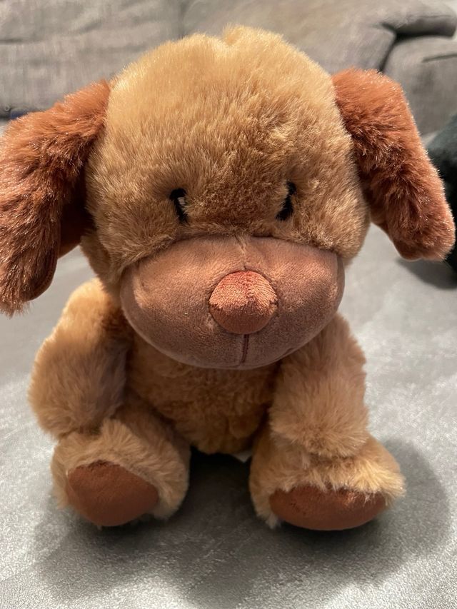Peluche cane