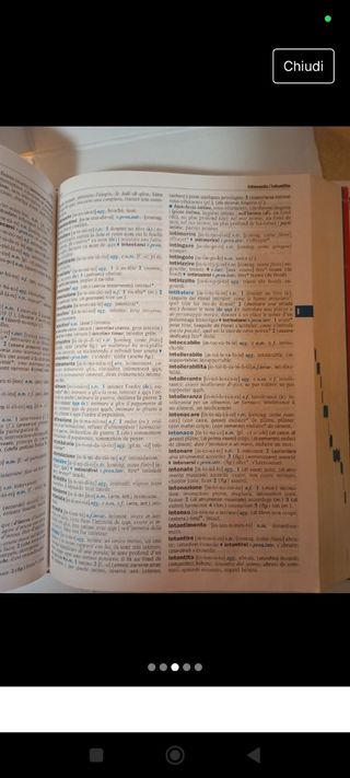 Dizionario medio di francese. Con CD-ROM (Dizionari Medi) (Italian Edition)