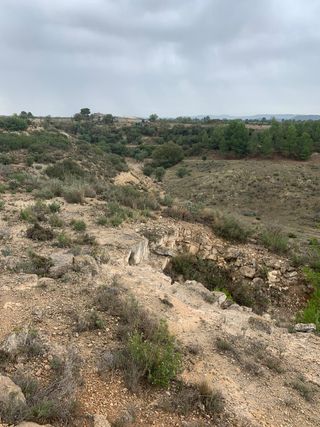 Coto de caça/caza Cal Caixes (Les Borges Blanques)