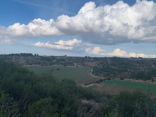 Coto de caça/caza Cal Caixes (Les Borges Blanques)