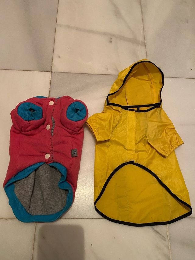 Oferta Pack prendas Ropita perro