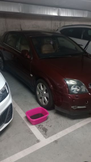 Opel Signum 2005