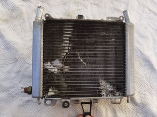 Radiatore Beverly 250cc