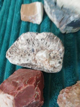 Minerali da collezione