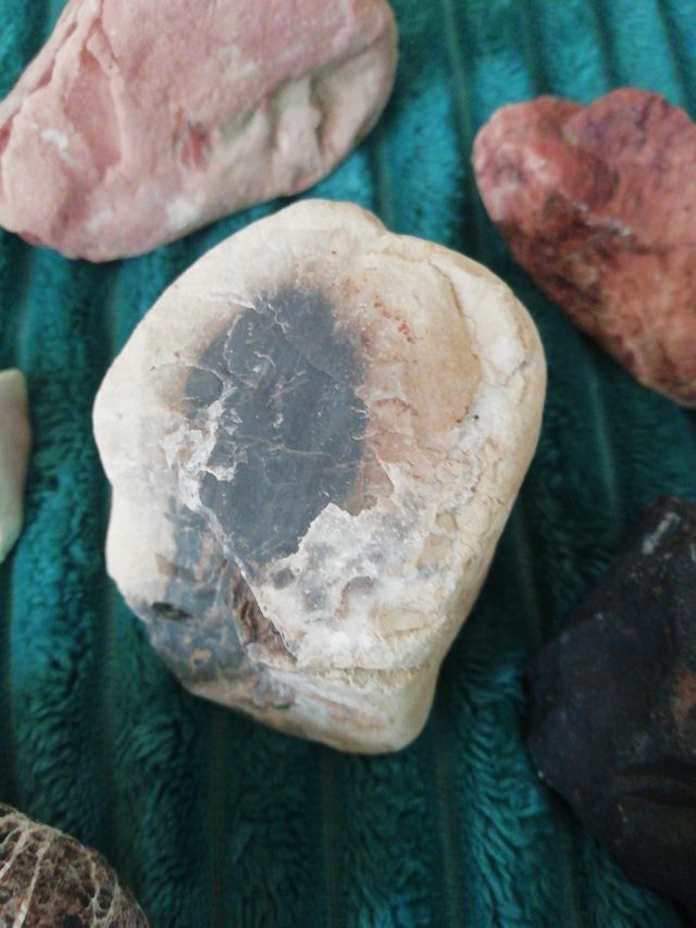 Minerali da collezione