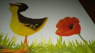 cuentos con ilustracionea en relieve