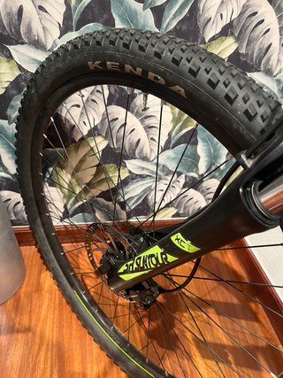 Bicicleta de montaña