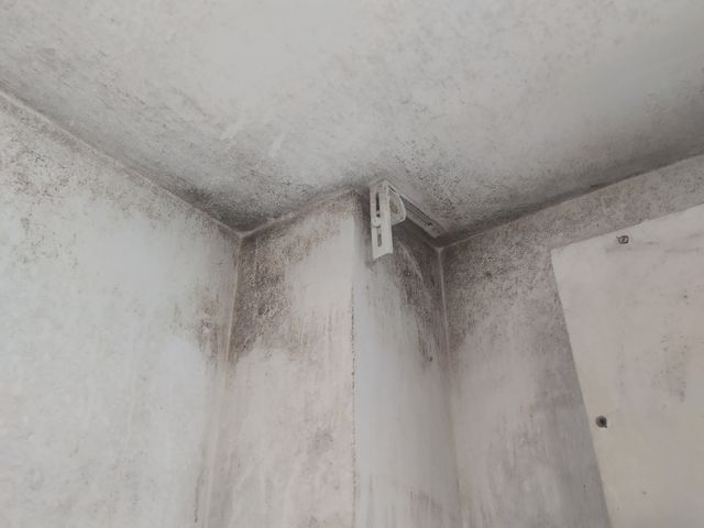 REPARACION DE HUMEDADES