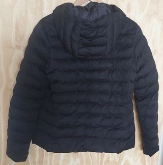 Plumifero New Yorker