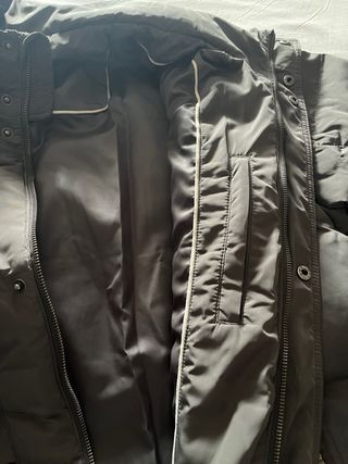 Plumas hombre Lloyd’s