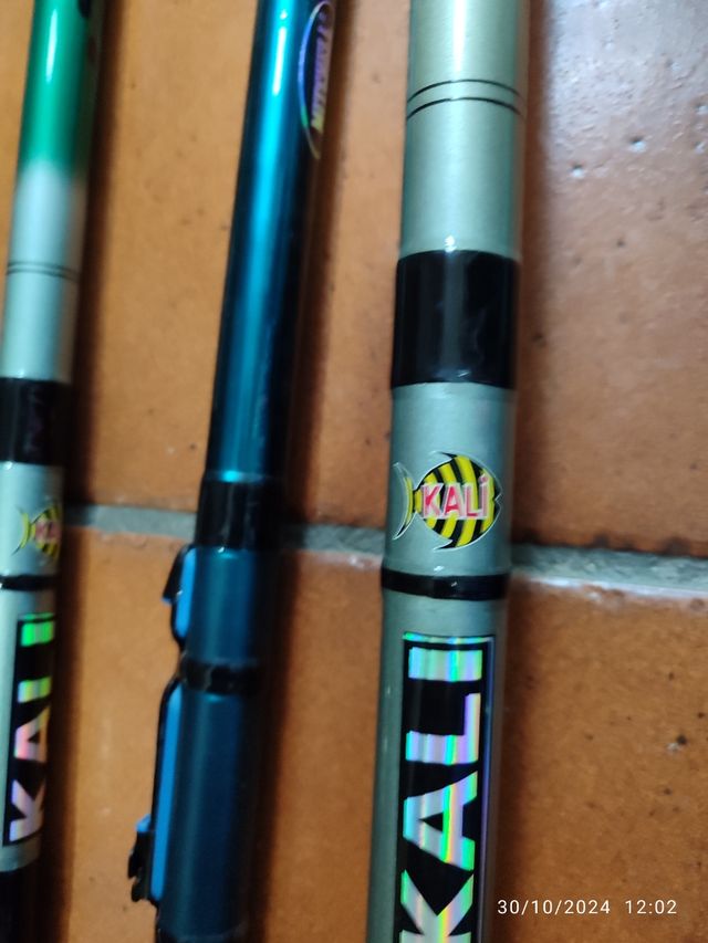 LOTE CAÑAS BOLOGNESE