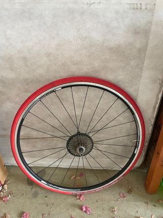 Rodillo Bkool + Rueda