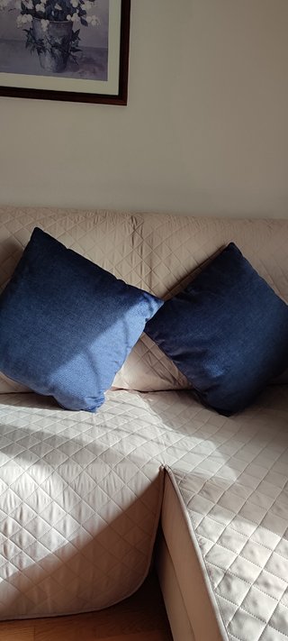 Cojin tercipelo