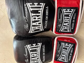 Guantes de boxeo CHARLIE