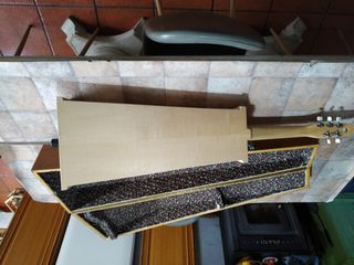 Viola da gamba tenor