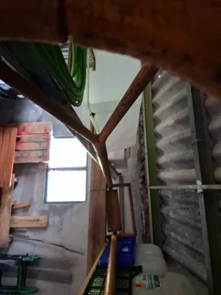 Extractor parto vaca