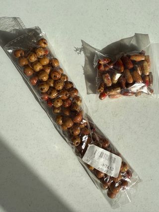 Beads rastas de madera