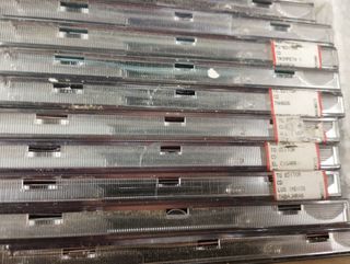 Protagonisti musica latino ameircana