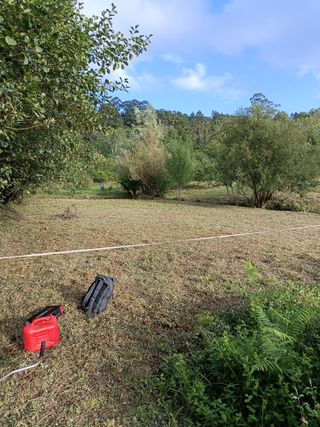 DESBROCE Y LIMPIEZA DE FINCAS.