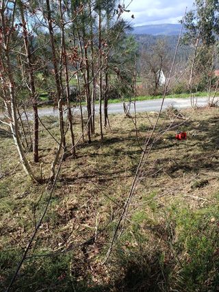 DESBROCE Y LIMPIEZA DE FINCAS.