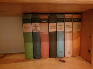 Colección 7 libros Angélica
