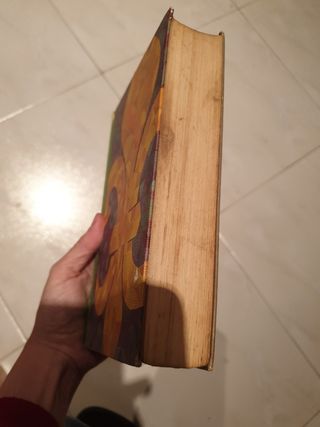 Colección 7 libros Angélica