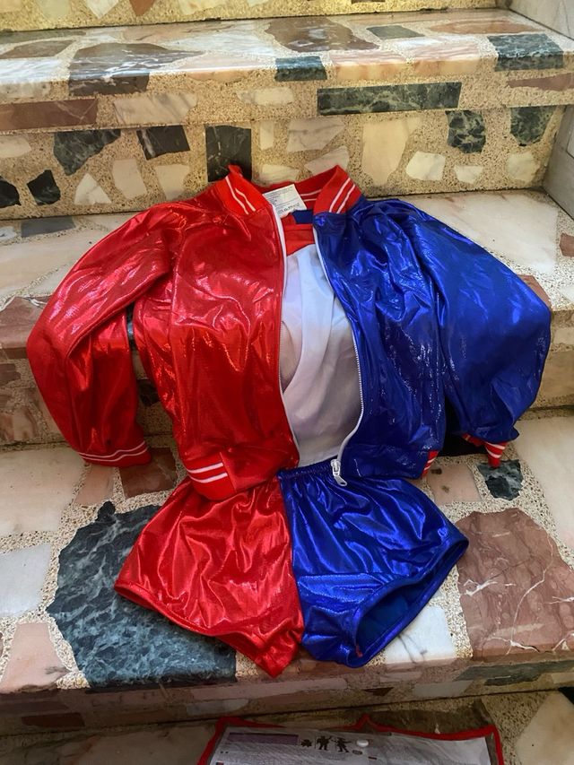 Disfraz Harlye Queen y bate