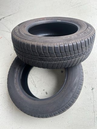 Neumaticos