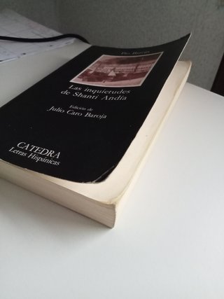 Las inquietudes de Shanti Andía (Spanish Edition)