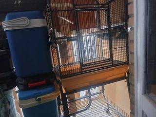 Vendo jaula de loro