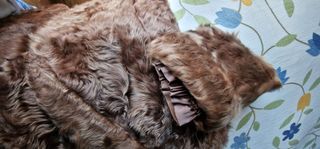 ABRIGO DE  KARAKUL MARRÓN CLARO