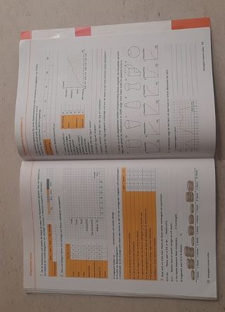 Lambacher Schweizer. 2. Schuljahr. Arbeitsheft plu