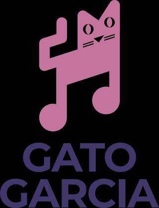Clases de guitarra online