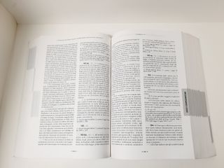 Codice Civile e Leggi Complementari - Schlesinger