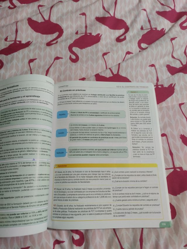 FORMACIÓN Y ORIENRACIÓN LABORAL