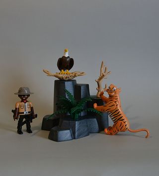 Playmobil Cuidador Reserva Con Tigre Y Aguila