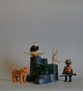 Playmobil Cuidador Reserva Con Tigre Y Aguila