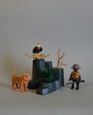 Playmobil Cuidador Reserva Con Tigre Y Aguila
