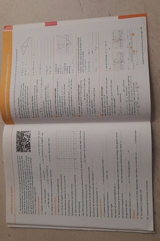 Lambacher Schweizer. 4. Schuljahr. Arbeitsheft plu