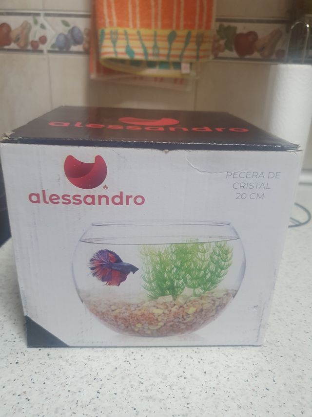 Pecera redonda de cristal