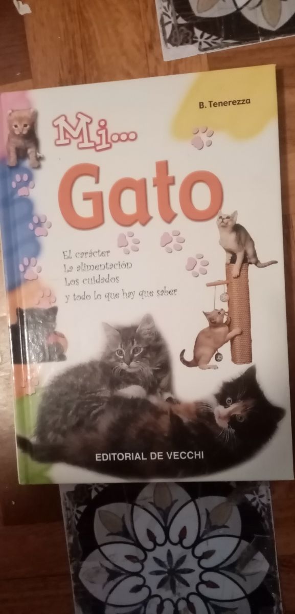 Libro gatos