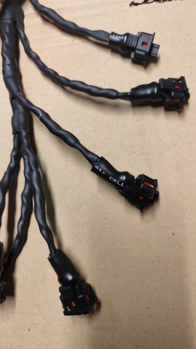 Cableado inyectores BMW