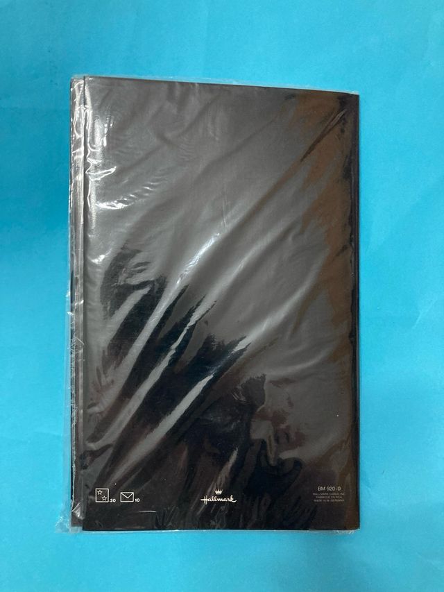 Capeta sobres y hojas Snoopy vintage.