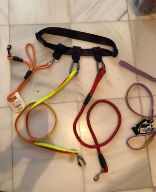 Cinturon de paseo perros Multi enganche