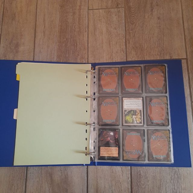 Raccoglitore Magic The Gathering 