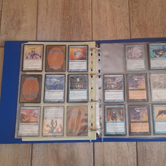Raccoglitore Magic The Gathering 