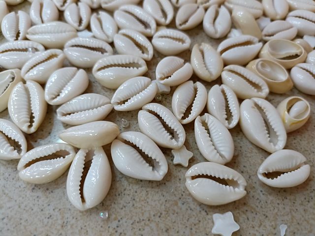 Caracoles bisutería material joyeria