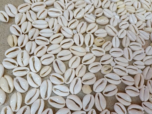 Caracoles bisutería material joyeria