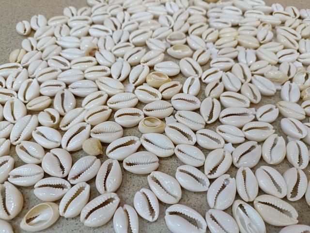 Caracoles bisutería material joyeria