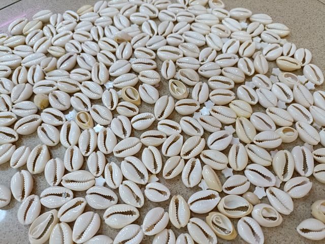 Caracoles bisutería material joyeria